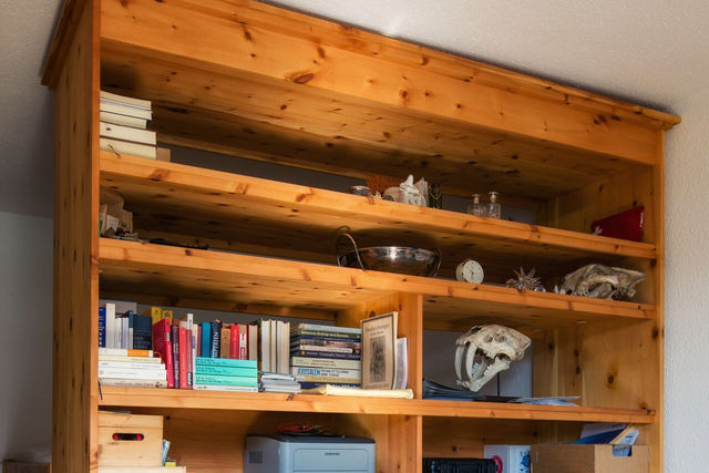 Room Divider & Loft Bed